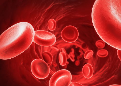 輸液時輸進去的液體都去了哪兒了？